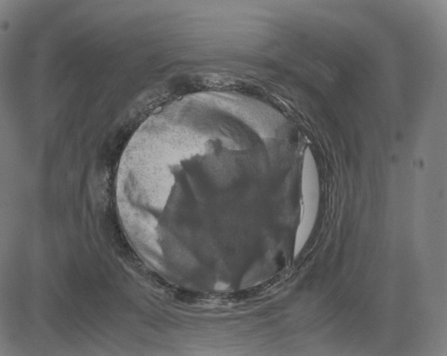 X0000083640319200703121726