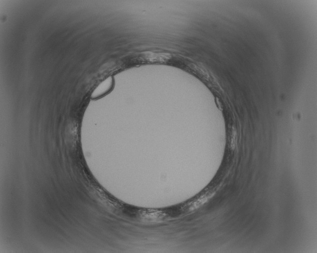 X0000083640321200703121726