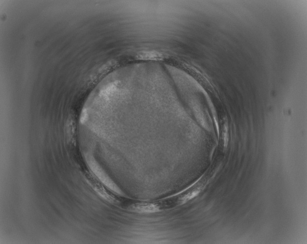 X0000083640322200703121726