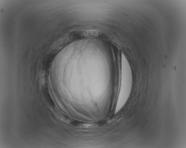 X0000083640323200703121726