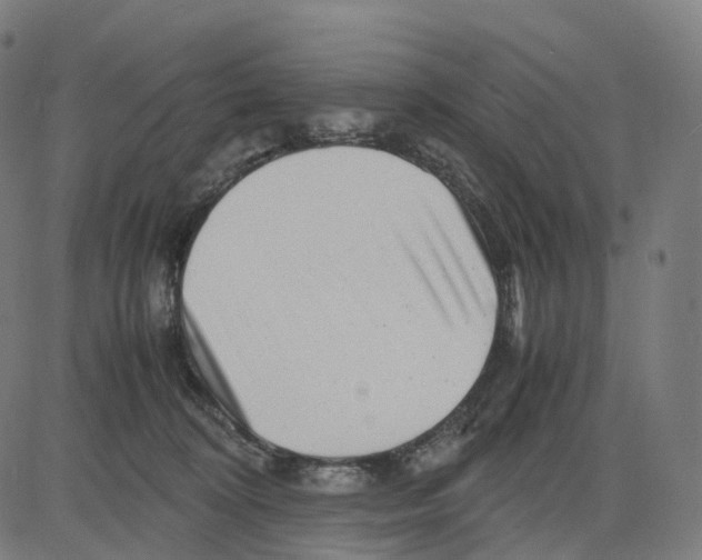 X0000083640324200703121726