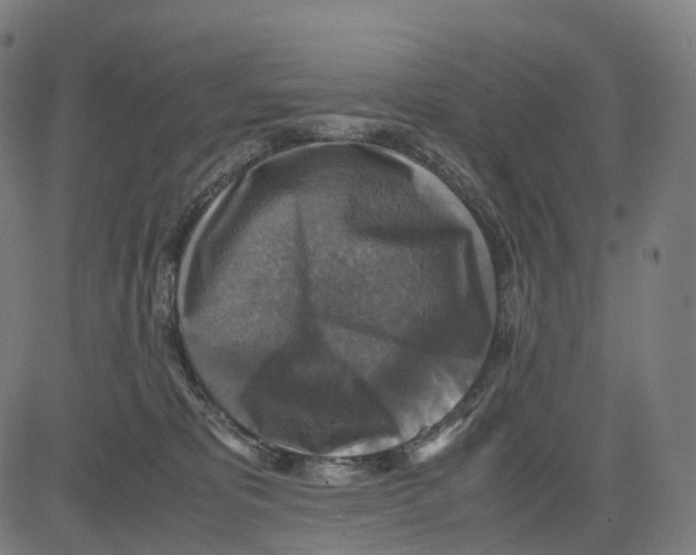 X0000083640325200703121726