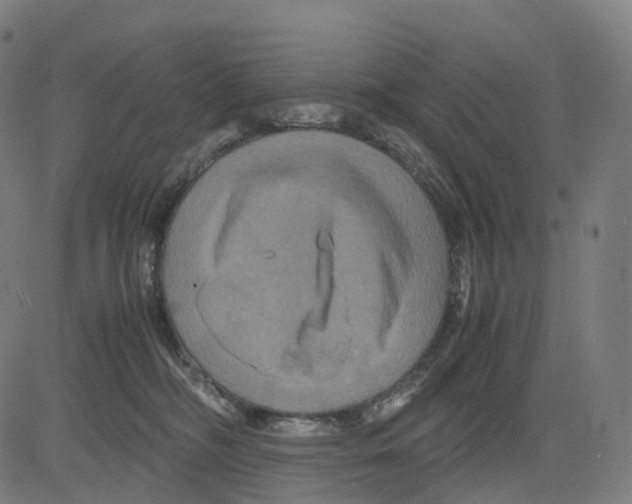 X0000083640326200703121726