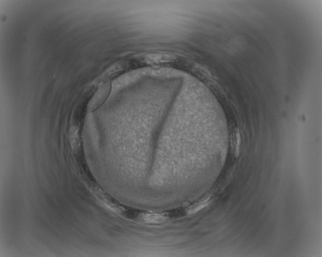 X0000083640327200703121726