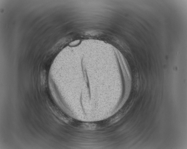 X0000083640328200703121726