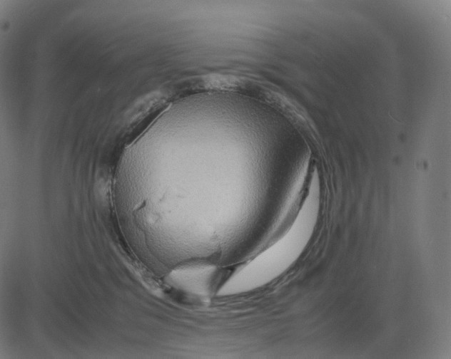 X0000083640329200703121726