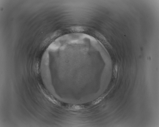 X0000083640330200703121726