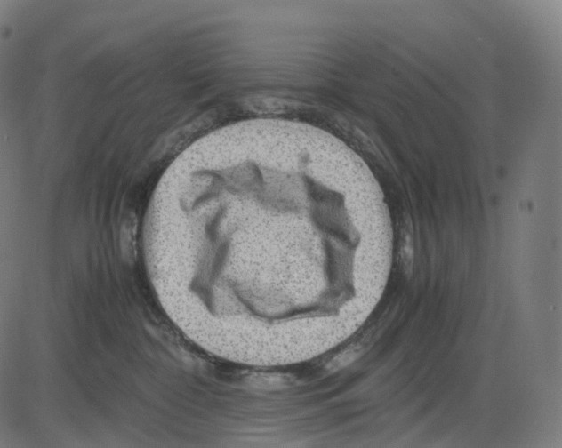 X0000083640332200703121726