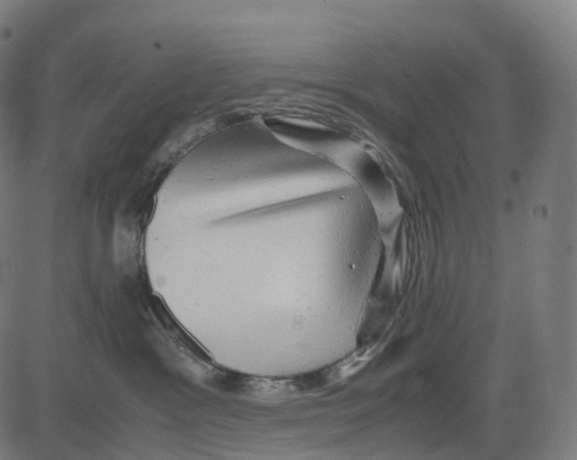 X0000083640333200703121726