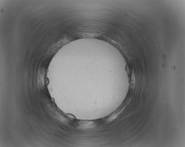 X0000083640334200703121726