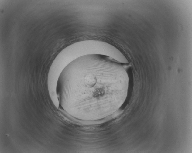 X0000083640336200703121726