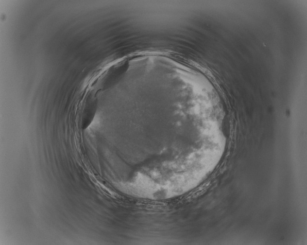 X0000083640337200703121725