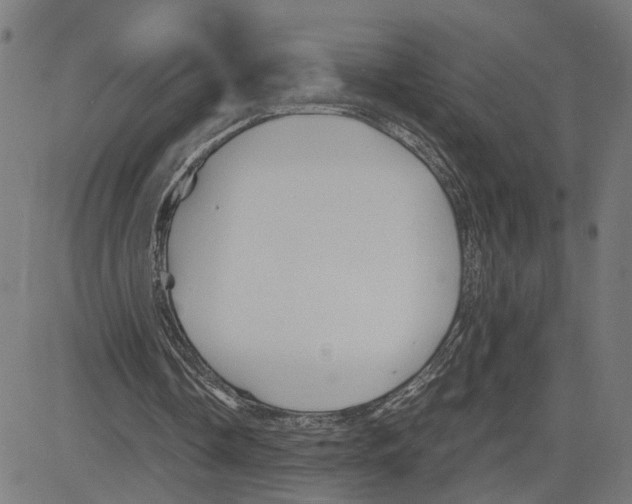 X0000083640338200703121725