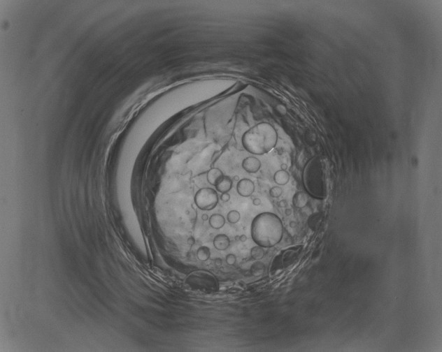 X0000083640339200703121725