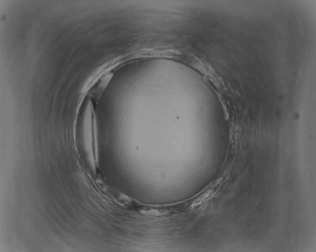 X0000083640340200703121725