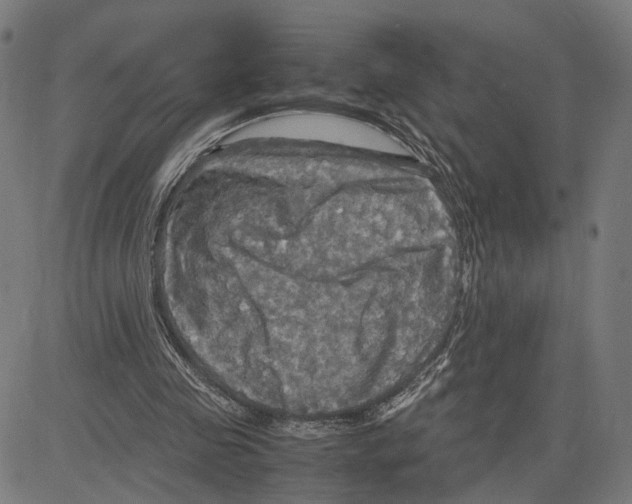 X0000083640341200703121725