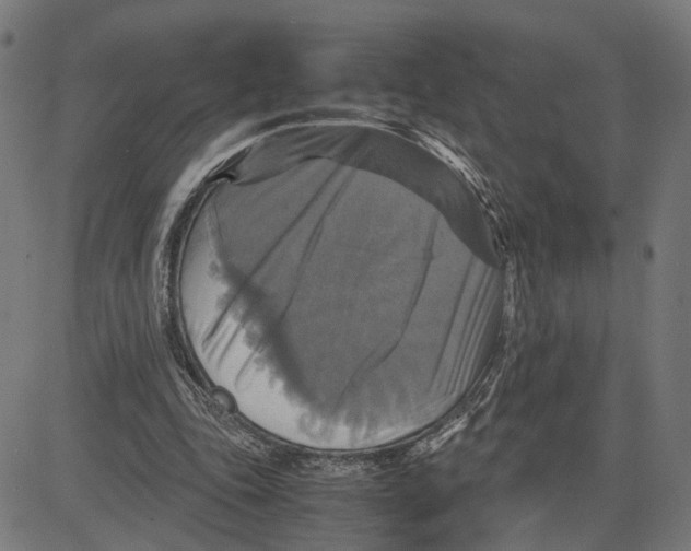 X0000083640343200703121725