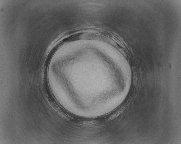 X0000083640344200703121725