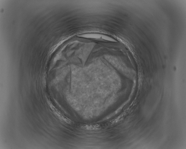 X0000083640345200703121725