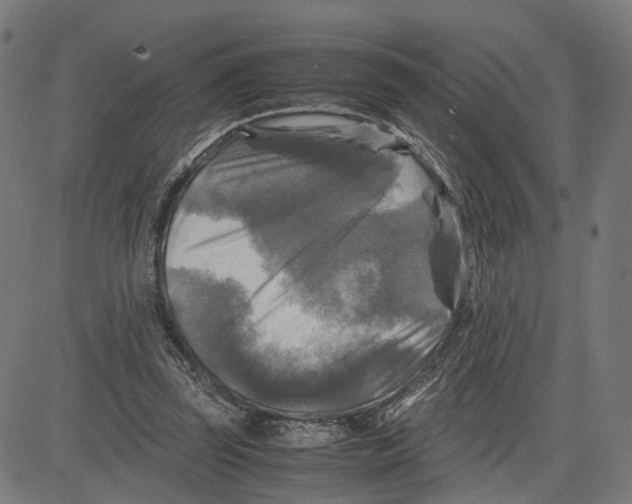 X0000083640347200703121725