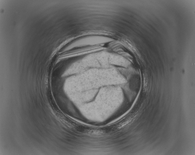 X0000083640348200703121725