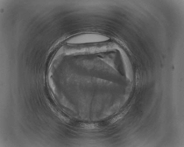 X0000083640349200703121725