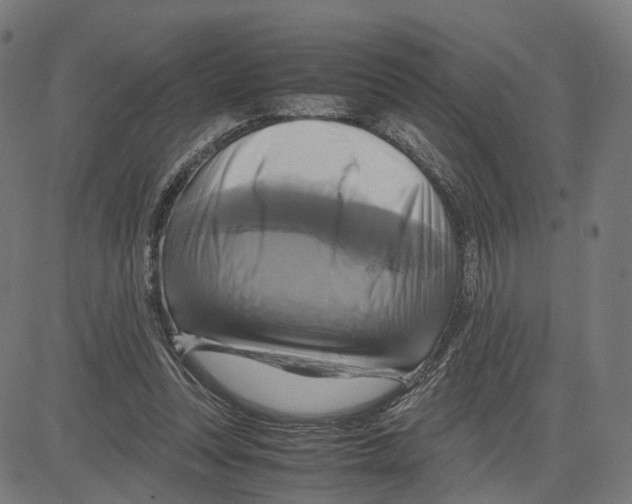 X0000083640351200703121725