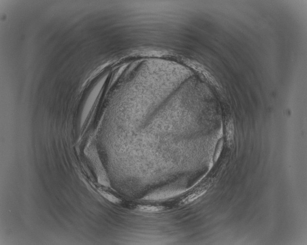 X0000083640352200703121725