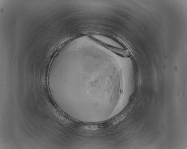 X0000083640353200703121725