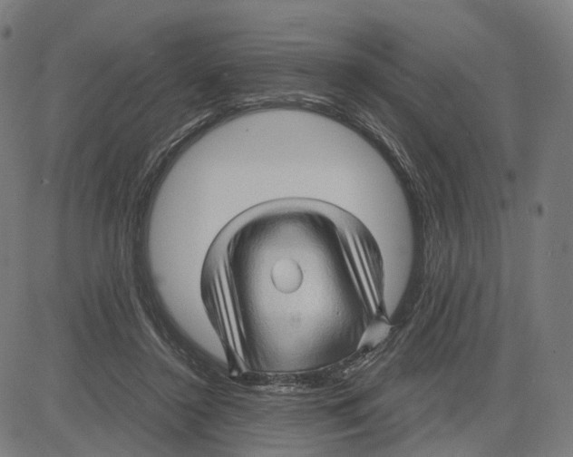 X0000083640356200703121725