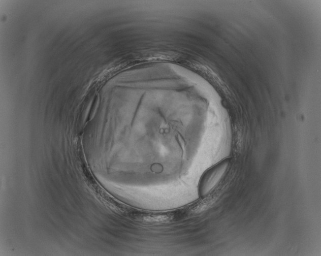 X0000083640357200703121725