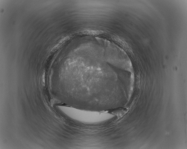 X0000083640358200703121725