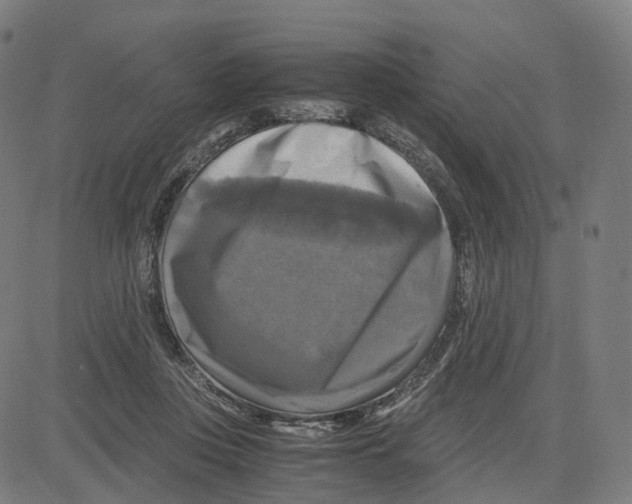 X0000083640359200703121725