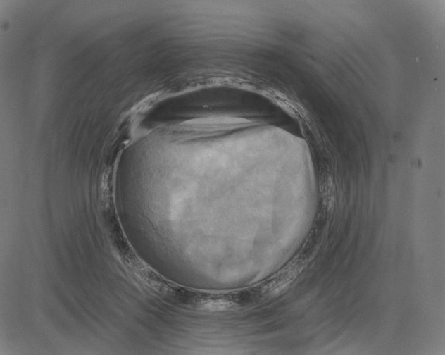 X0000083640360200703121725