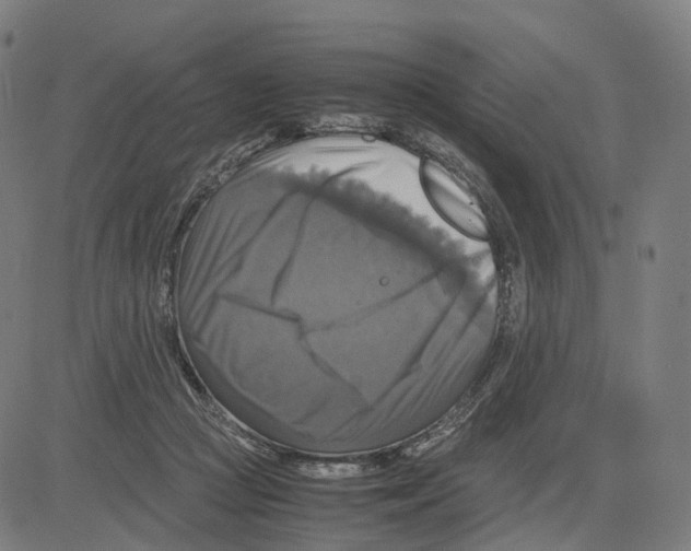 X0000083640361200703121725