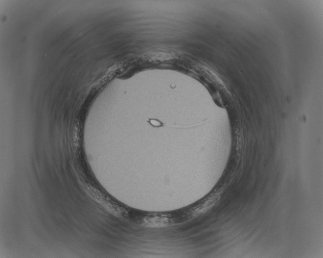 X0000083640362200703121725