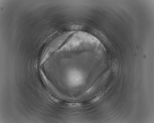 X0000083640363200703121725