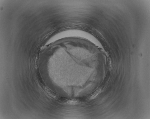 X0000083640364200703121725