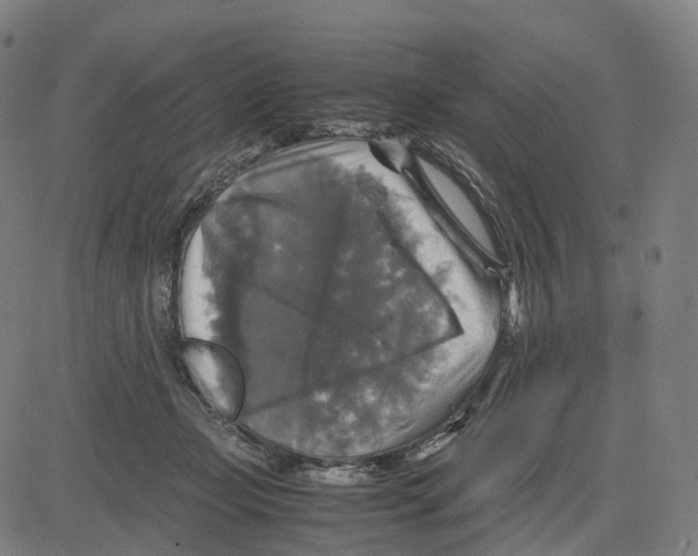 X0000083640365200703121725