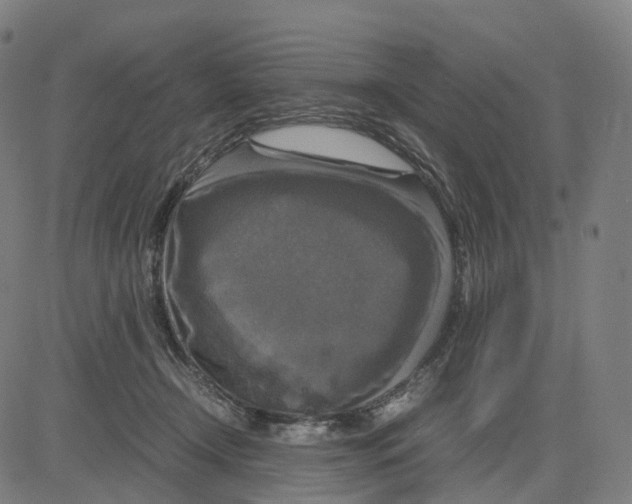 X0000083640366200703121726