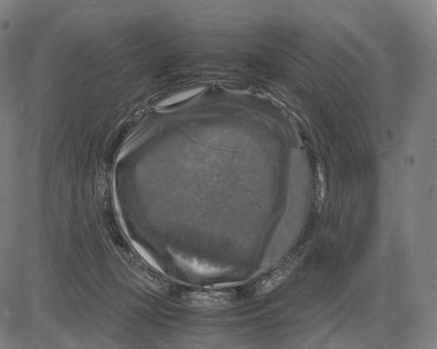 X0000083640367200703121726