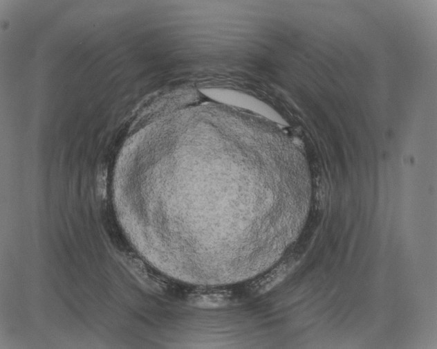 X0000083640368200703121726