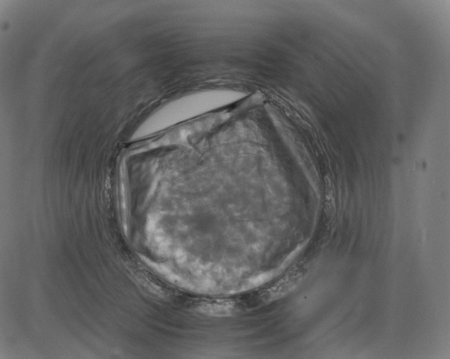 X0000083640369200703121726