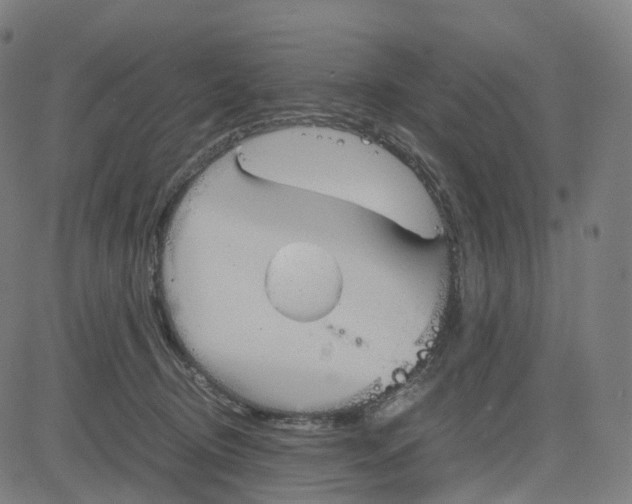 X0000083640370200703121726