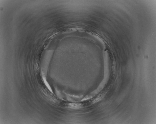 X0000083640371200703121726