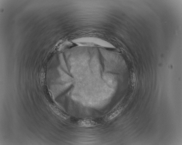 X0000083640372200703121726