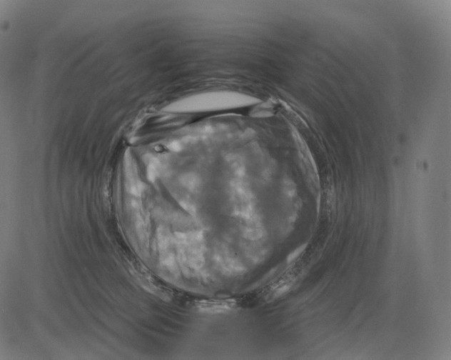 X0000083640373200703121726