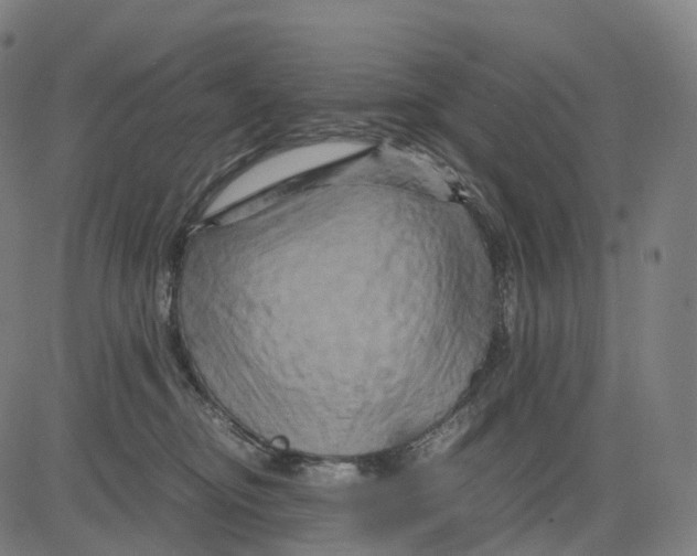 X0000083640374200703121726