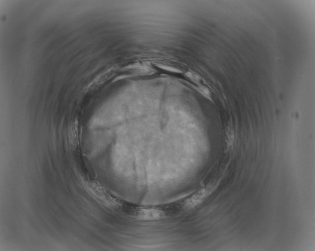 X0000083640376200703121726