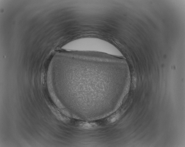 X0000083640379200703121726